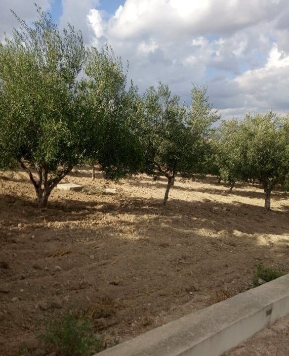 foto 31