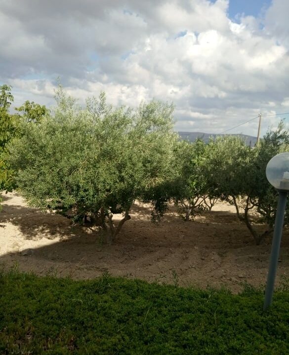 foto 41