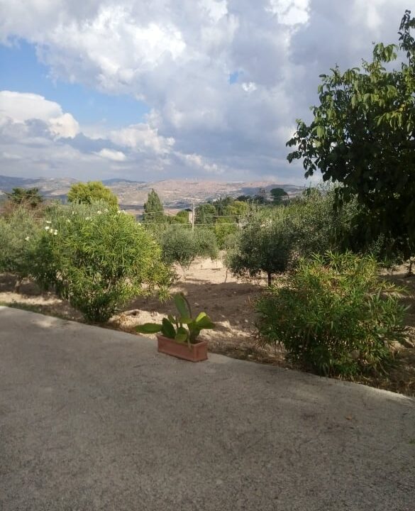 foto 47