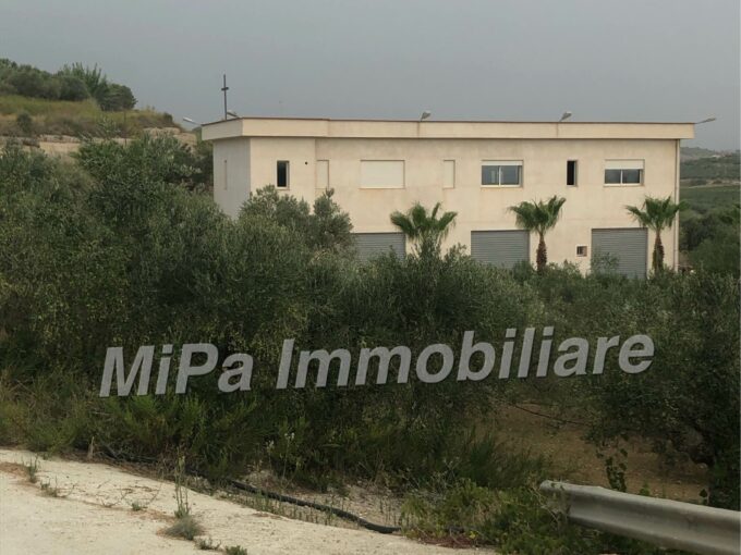 Immobile con annesso  vasto uliveto -C.da Forgia – Sciacca-