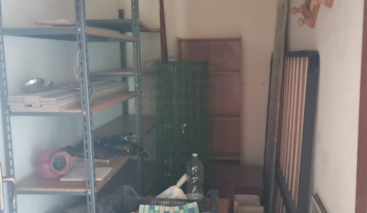 FOTO 8