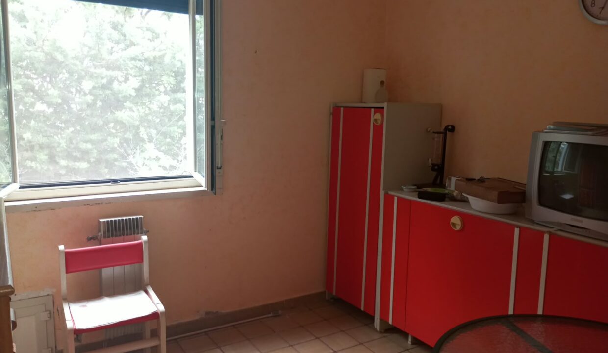 FOTO 14